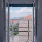 Nova * Сплит
