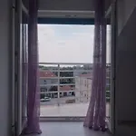 Nova Сплит